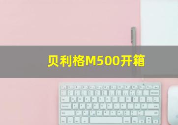 贝利格M500开箱