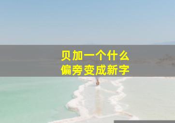 贝加一个什么偏旁变成新字