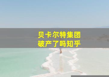 贝卡尔特集团破产了吗知乎