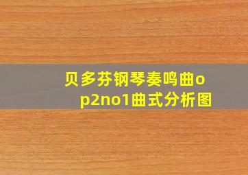 贝多芬钢琴奏鸣曲op2no1曲式分析图