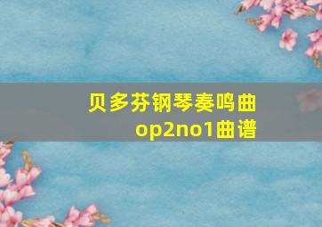 贝多芬钢琴奏鸣曲op2no1曲谱