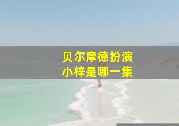 贝尔摩德扮演小梓是哪一集