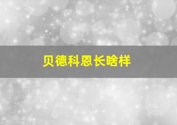 贝德科恩长啥样