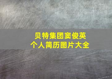 贝特集团窦俊英个人简历图片大全