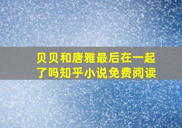 贝贝和唐雅最后在一起了吗知乎小说免费阅读