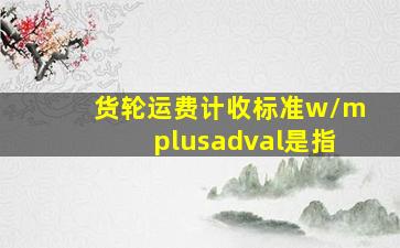 货轮运费计收标准w/mplusadval是指