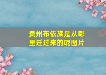 贵州布依族是从哪里迁过来的呢图片