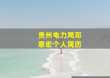 贵州电力局邓恩宏个人简历