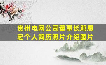 贵州电网公司董事长邓恩宏个人简历照片介绍图片