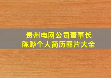 贵州电网公司董事长陈晔个人简历图片大全