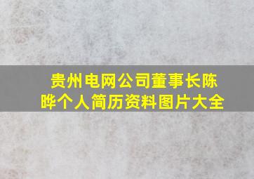 贵州电网公司董事长陈晔个人简历资料图片大全