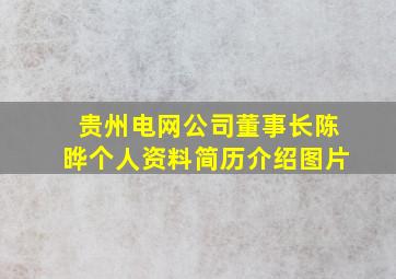 贵州电网公司董事长陈晔个人资料简历介绍图片