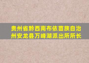 贵州省黔西南布依苗族自治州安龙县万峰湖派出所所长