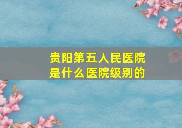 贵阳第五人民医院是什么医院级别的