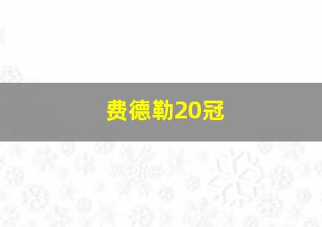 费德勒20冠