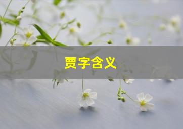 贾字含义