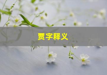 贾字释义