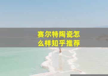 赛尔特陶瓷怎么样知乎推荐