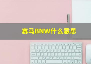 赛马BNW什么意思