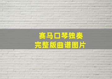 赛马口琴独奏完整版曲谱图片