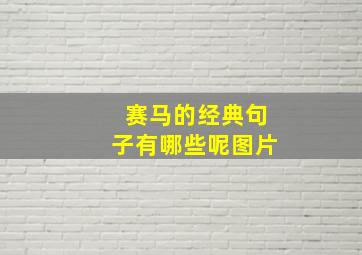 赛马的经典句子有哪些呢图片