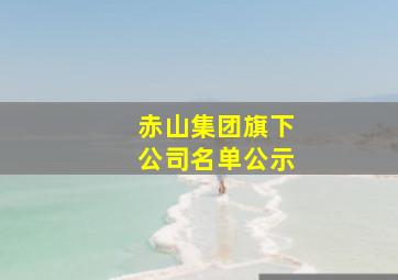 赤山集团旗下公司名单公示