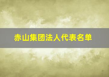 赤山集团法人代表名单