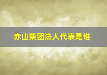 赤山集团法人代表是谁