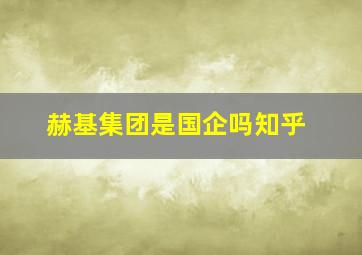 赫基集团是国企吗知乎