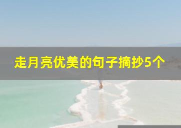 走月亮优美的句子摘抄5个