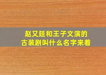 赵又廷和王子文演的古装剧叫什么名字来着