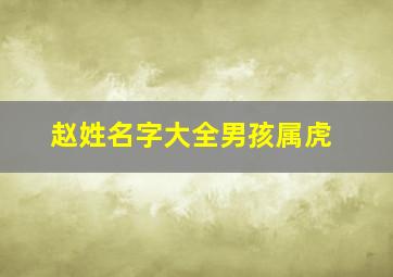 赵姓名字大全男孩属虎