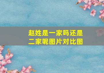 赵姓是一家吗还是二家呢图片对比图