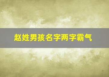 赵姓男孩名字两字霸气