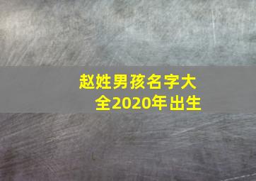 赵姓男孩名字大全2020年出生