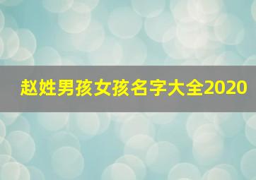 赵姓男孩女孩名字大全2020