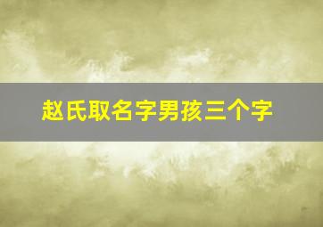 赵氏取名字男孩三个字