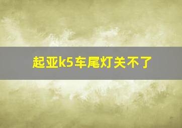 起亚k5车尾灯关不了