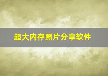 超大内存照片分享软件