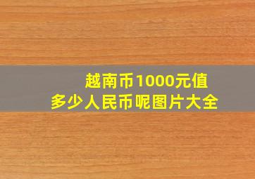 越南币1000元值多少人民币呢图片大全