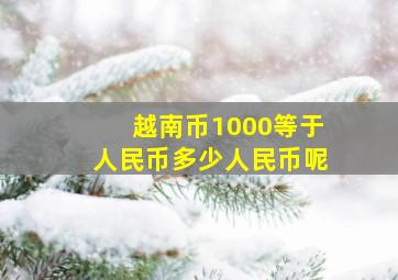 越南币1000等于人民币多少人民币呢