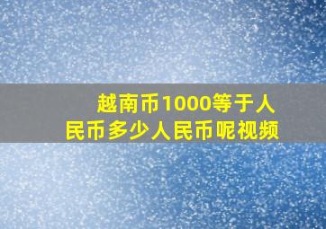 越南币1000等于人民币多少人民币呢视频