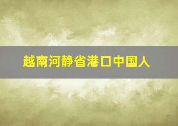 越南河静省港口中国人