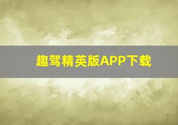 趣驾精英版APP下载