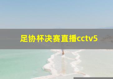 足协杯决赛直播cctv5