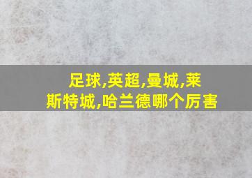 足球,英超,曼城,莱斯特城,哈兰德哪个厉害