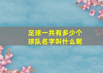 足球一共有多少个球队名字叫什么呢