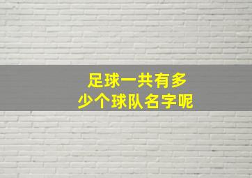 足球一共有多少个球队名字呢