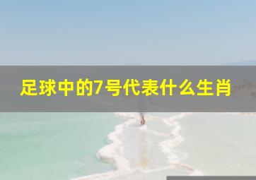 足球中的7号代表什么生肖