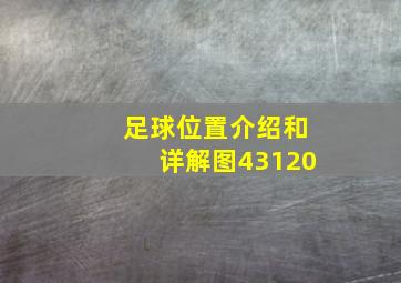 足球位置介绍和详解图43120